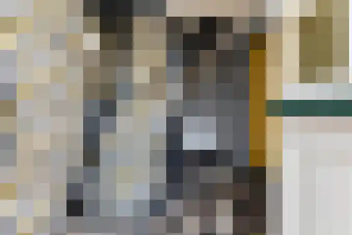 Hilleburen 10 Wergea thumbnail 20