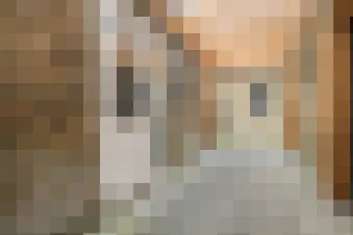 Hilleburen 10 Wergea thumbnail 28