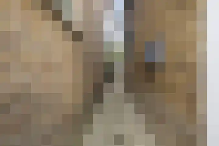 Hilleburen 10 Wergea thumbnail 29