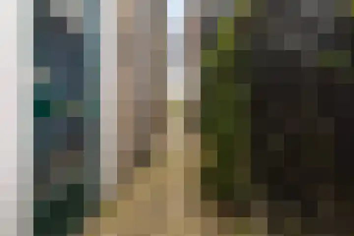 Hilleburen 10 Wergea thumbnail 30
