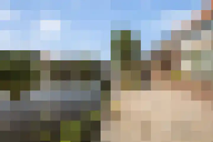 Hilleburen 10 Wergea thumbnail 35