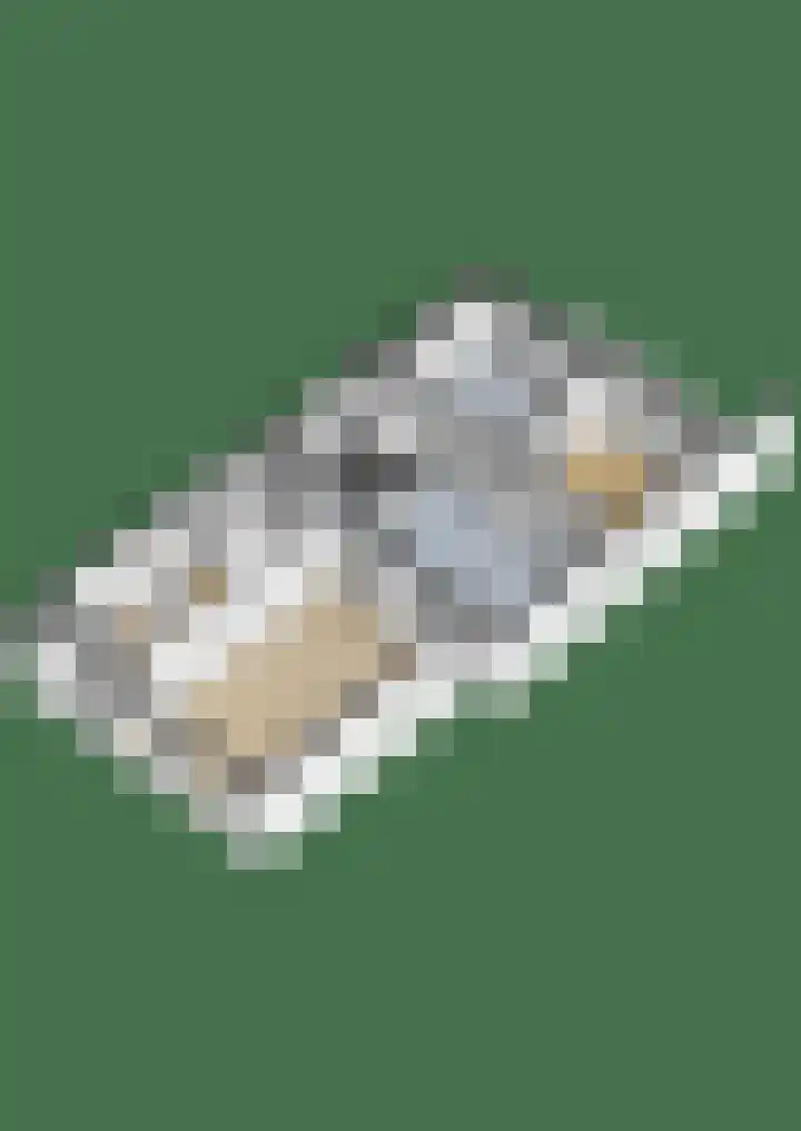 Hilleburen 10 Wergea thumbnail 41
