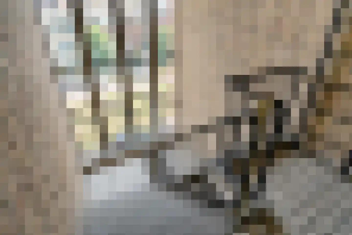 Hilledijk 87 B Rotterdam thumbnail 8