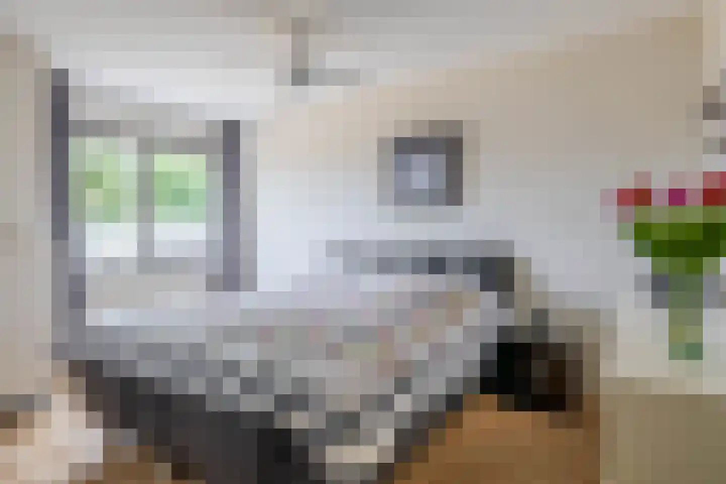 Hillegersbergstraat 11 Zoetermeer thumbnail 32