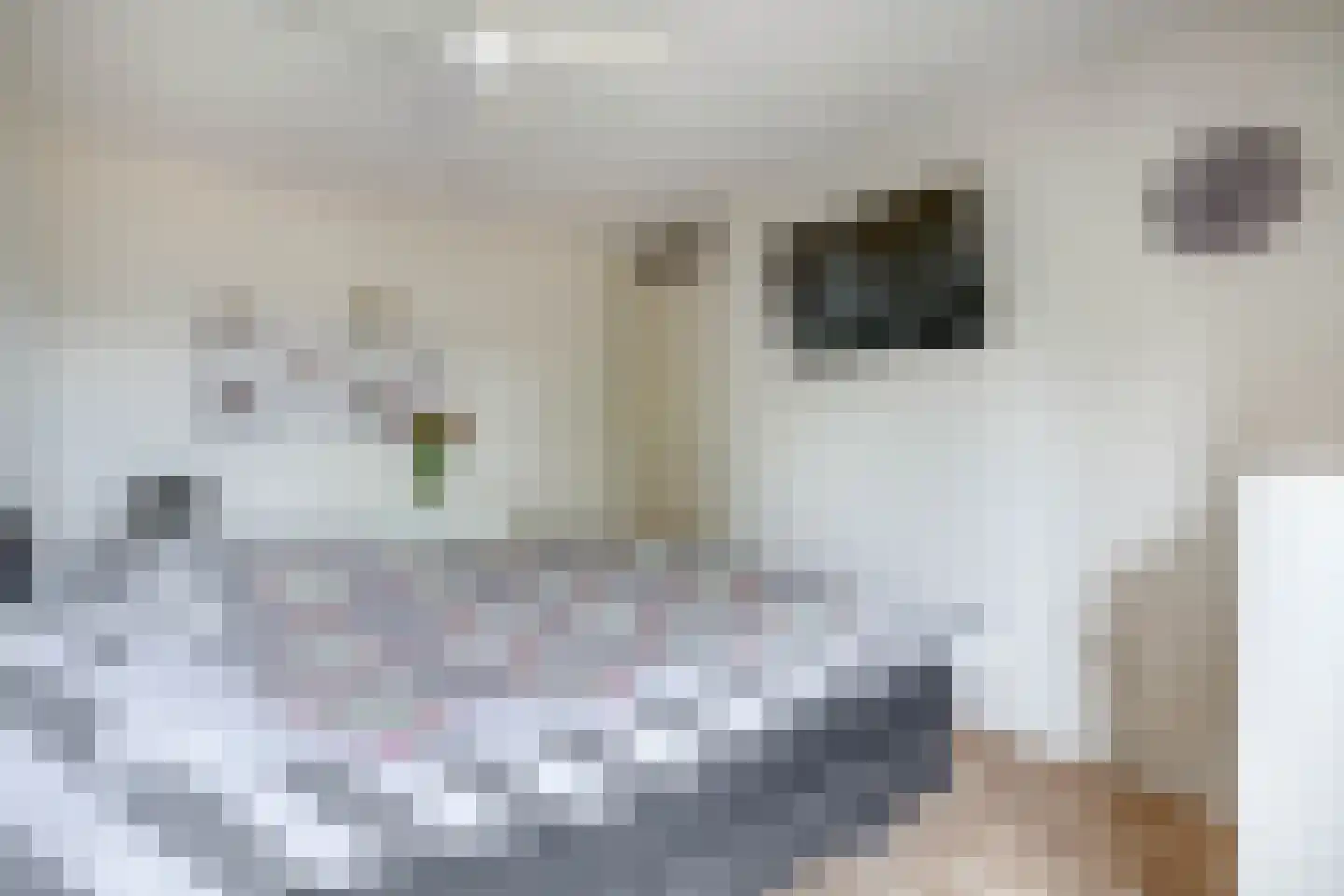 Hillegersbergstraat 11 Zoetermeer thumbnail 33