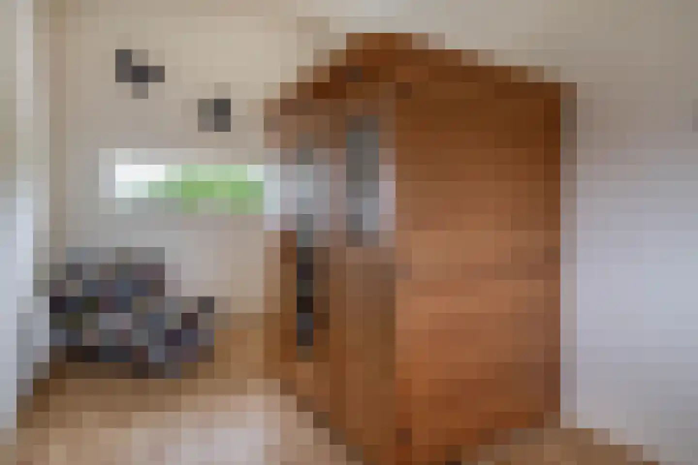 Hillegersbergstraat 11 Zoetermeer thumbnail 37