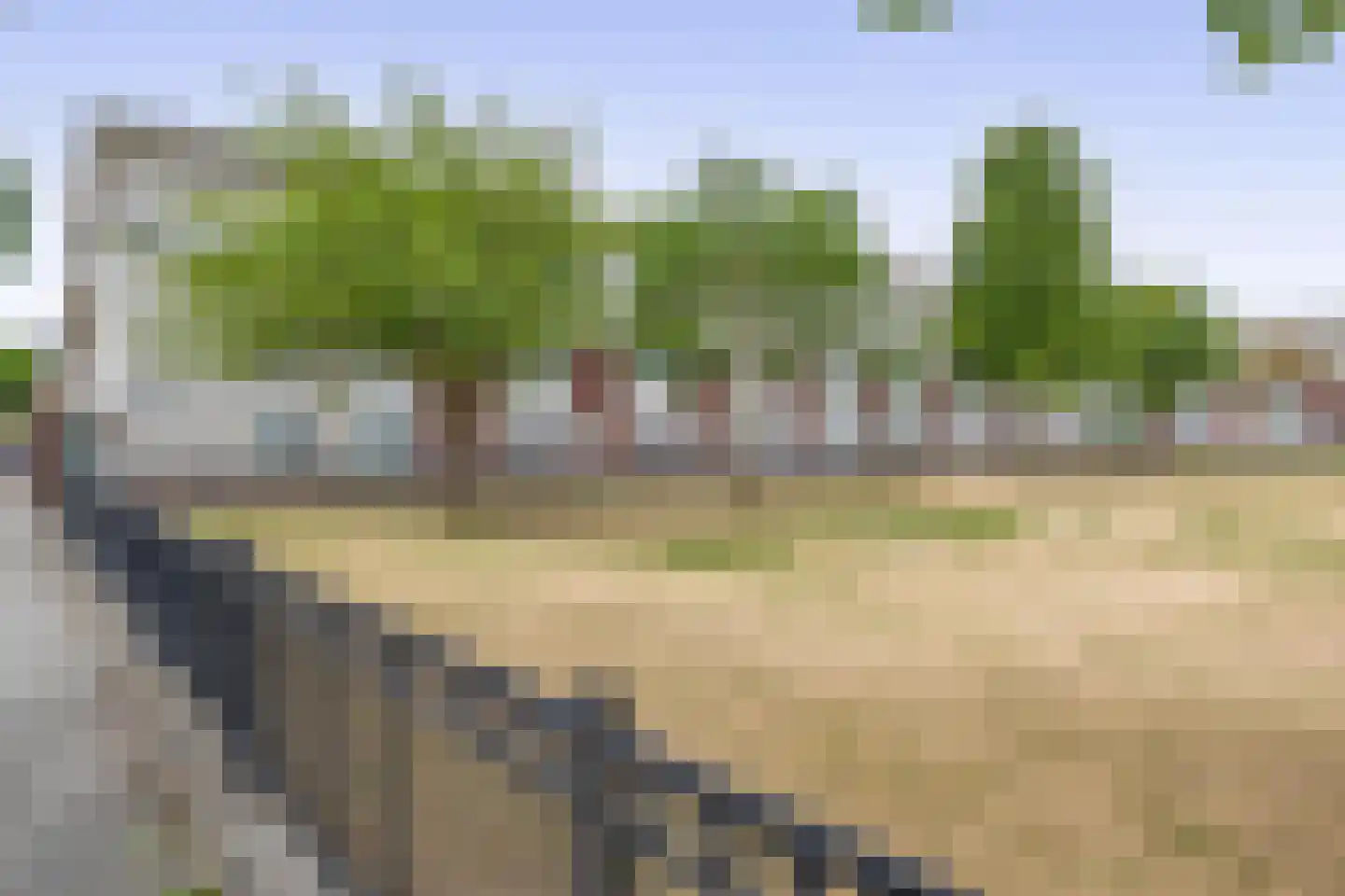 Hillegersbergstraat 11 Zoetermeer thumbnail 42