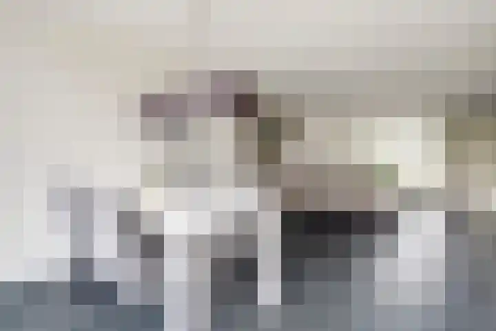 Hillegomlaan 65 Tilburg thumbnail 11