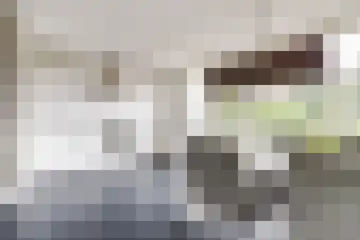 Hillegomlaan 65 Tilburg thumbnail 12