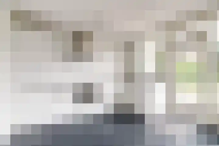 Hillegomlaan 65 Tilburg thumbnail 13