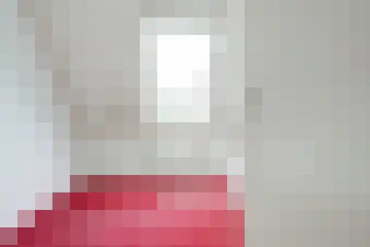 Hillegomlaan 65 Tilburg thumbnail 21