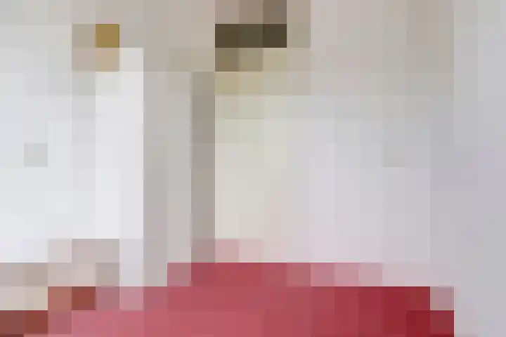 Hillegomlaan 65 Tilburg thumbnail 22