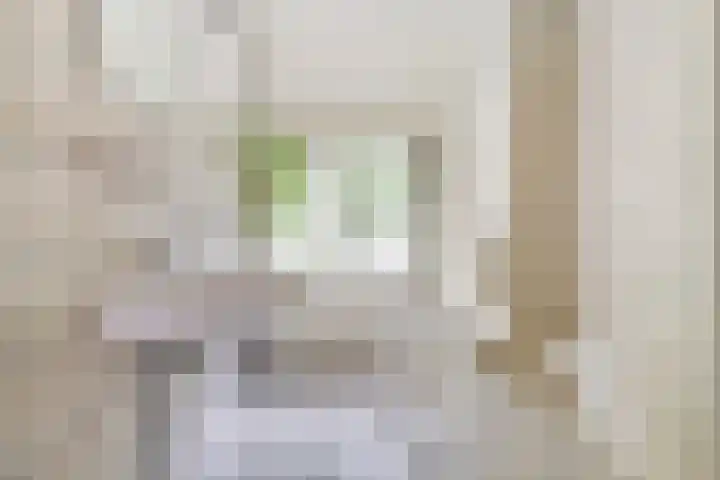Hillegomlaan 65 Tilburg thumbnail 23