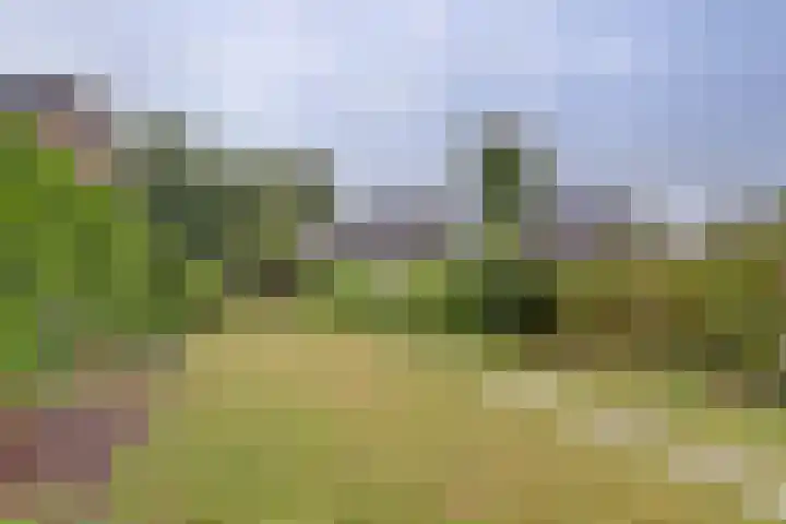 Hillegomlaan 65 Tilburg thumbnail 29