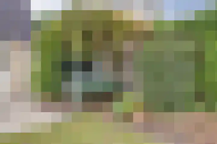 Hillegomlaan 65 Tilburg thumbnail 30