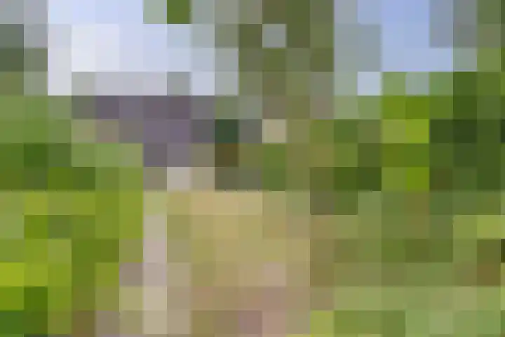 Hillegomlaan 65 Tilburg thumbnail 32