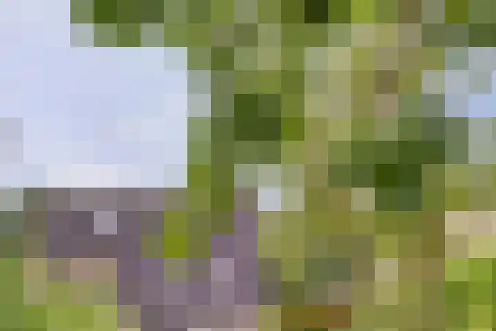 Hillegomlaan 65 Tilburg thumbnail 33