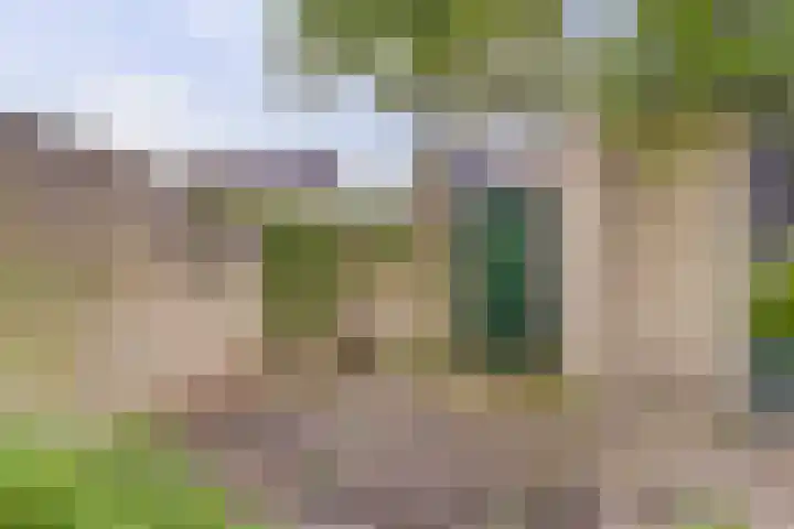 Hillegomlaan 65 Tilburg thumbnail 34