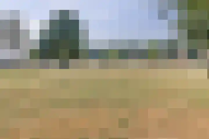 Hillegomlaan 65 Tilburg thumbnail 36