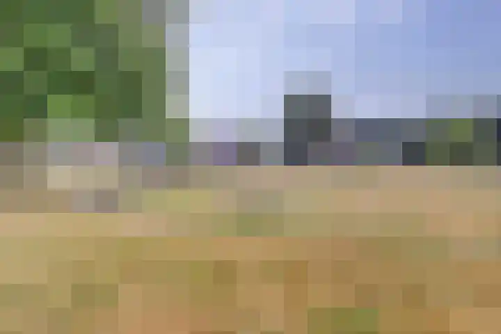 Hillegomlaan 65 Tilburg thumbnail 37