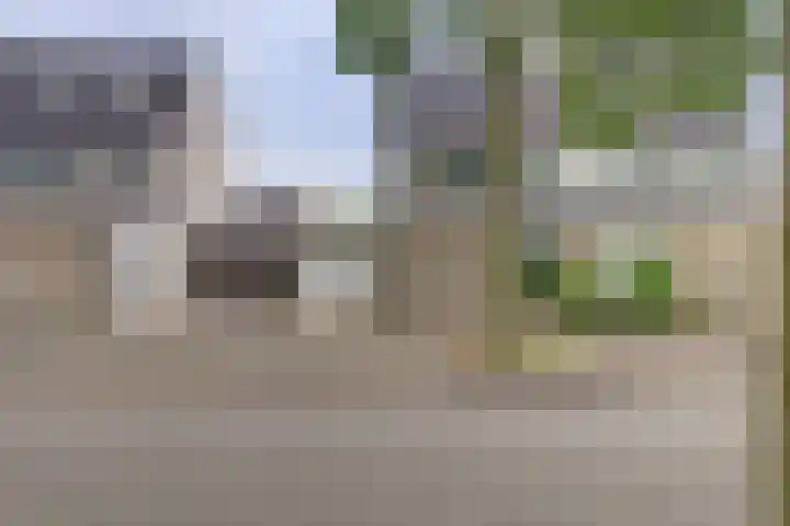 Hillegomlaan 65 Tilburg thumbnail 38