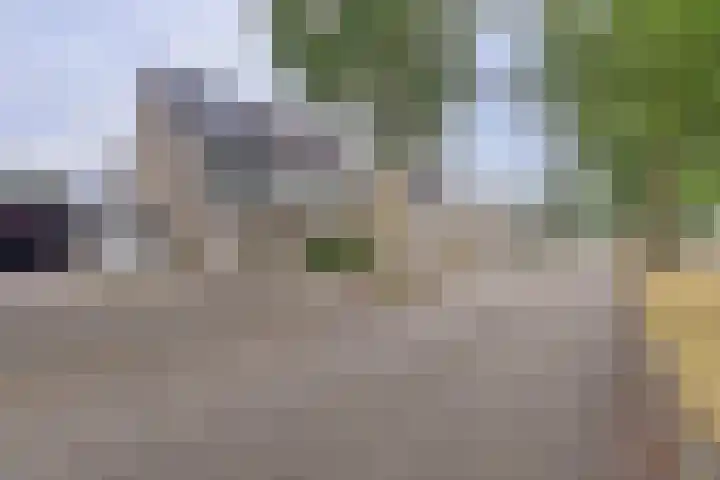 Hillegomlaan 65 Tilburg thumbnail 39