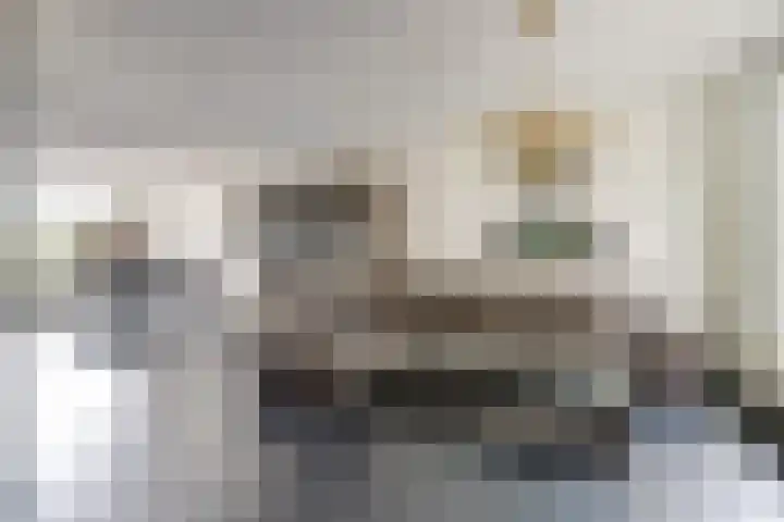 Hillegomlaan 65 Tilburg thumbnail 4