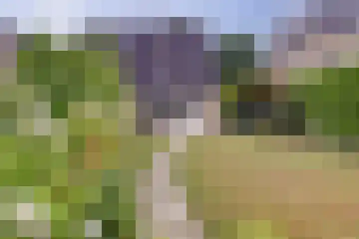 Hillegomlaan 65 Tilburg thumbnail 44