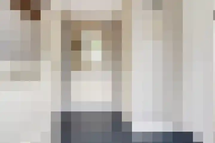 Hillegomlaan 65 Tilburg thumbnail 7
