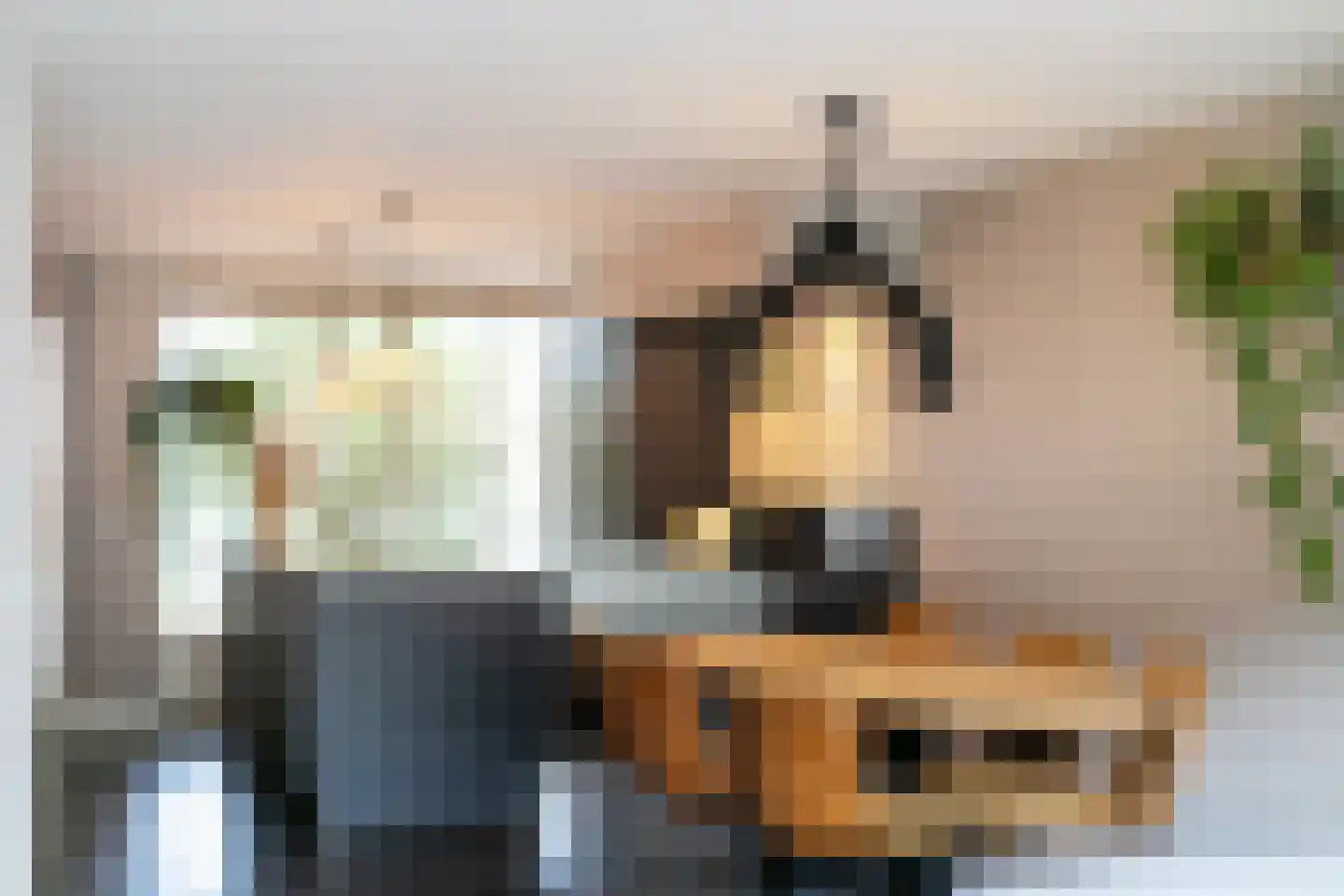 Hillegomlaan 91 Tilburg thumbnail 12