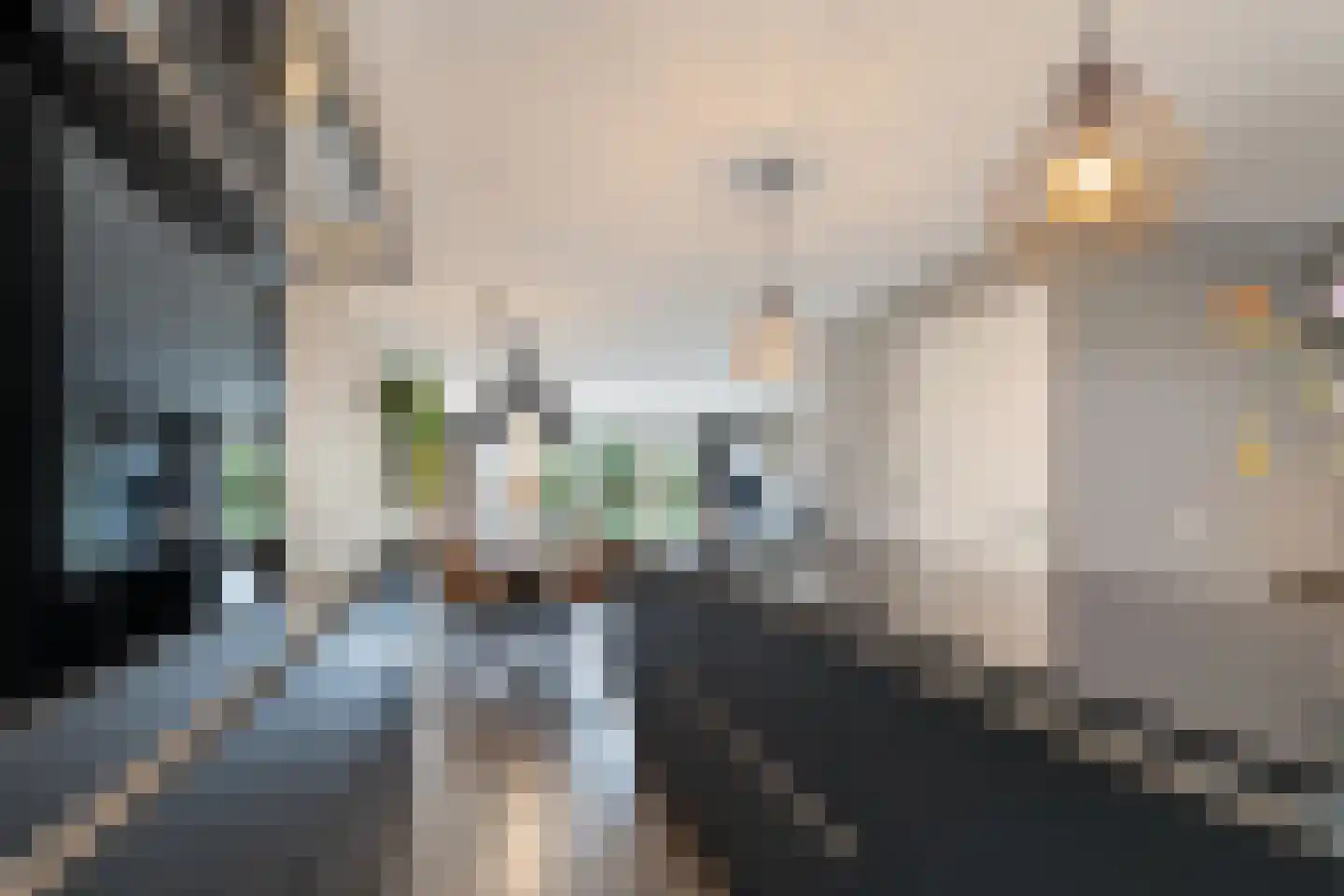 Hillegomlaan 91 Tilburg thumbnail 17