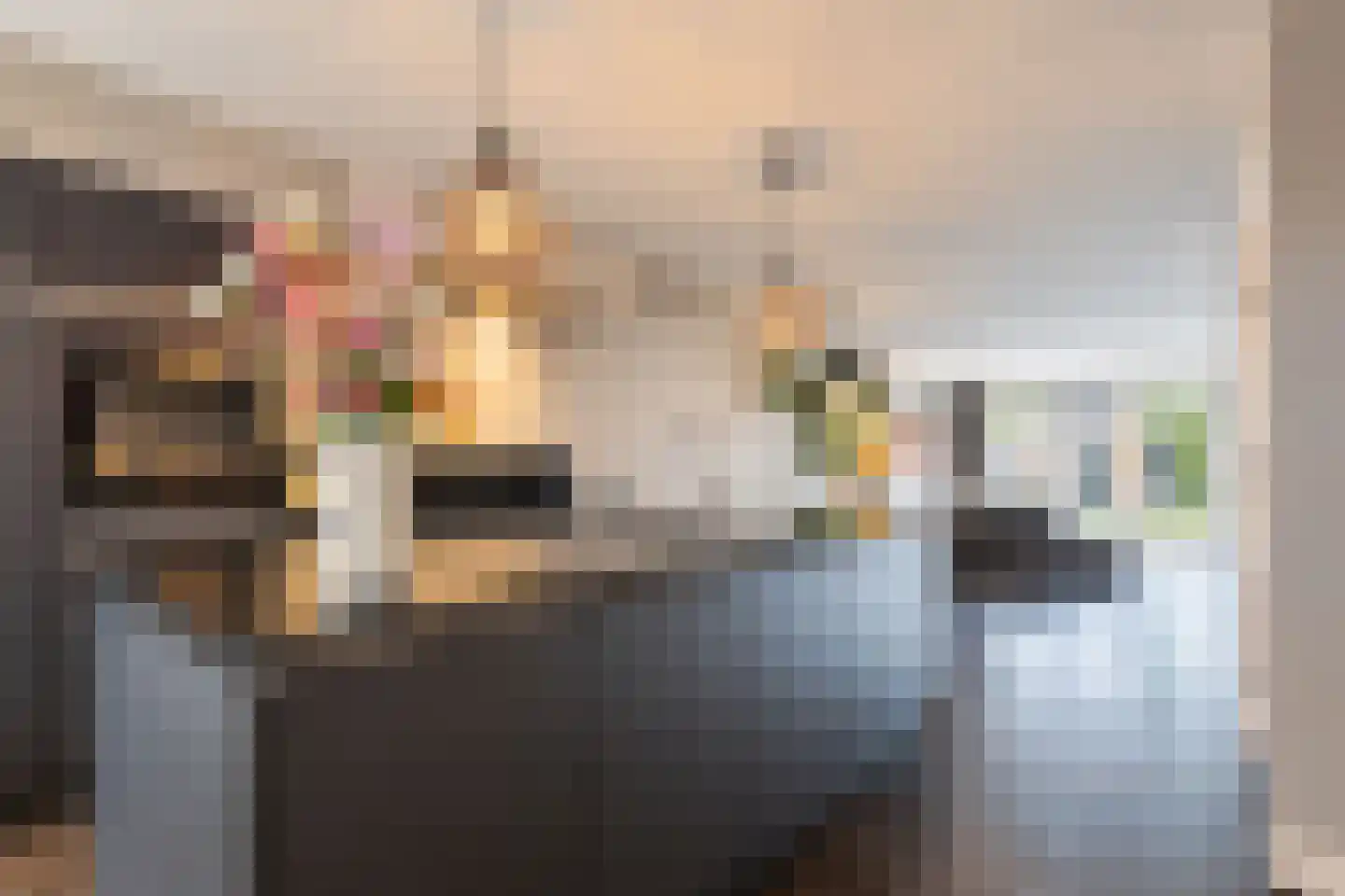 Hillegomlaan 91 Tilburg thumbnail 19