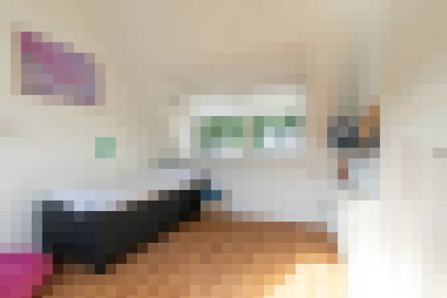 Hillegomlaan 91 Tilburg thumbnail 32