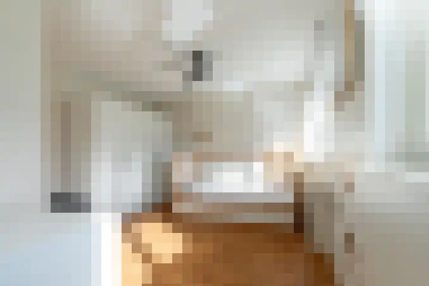 Hillegomlaan 91 Tilburg thumbnail 35