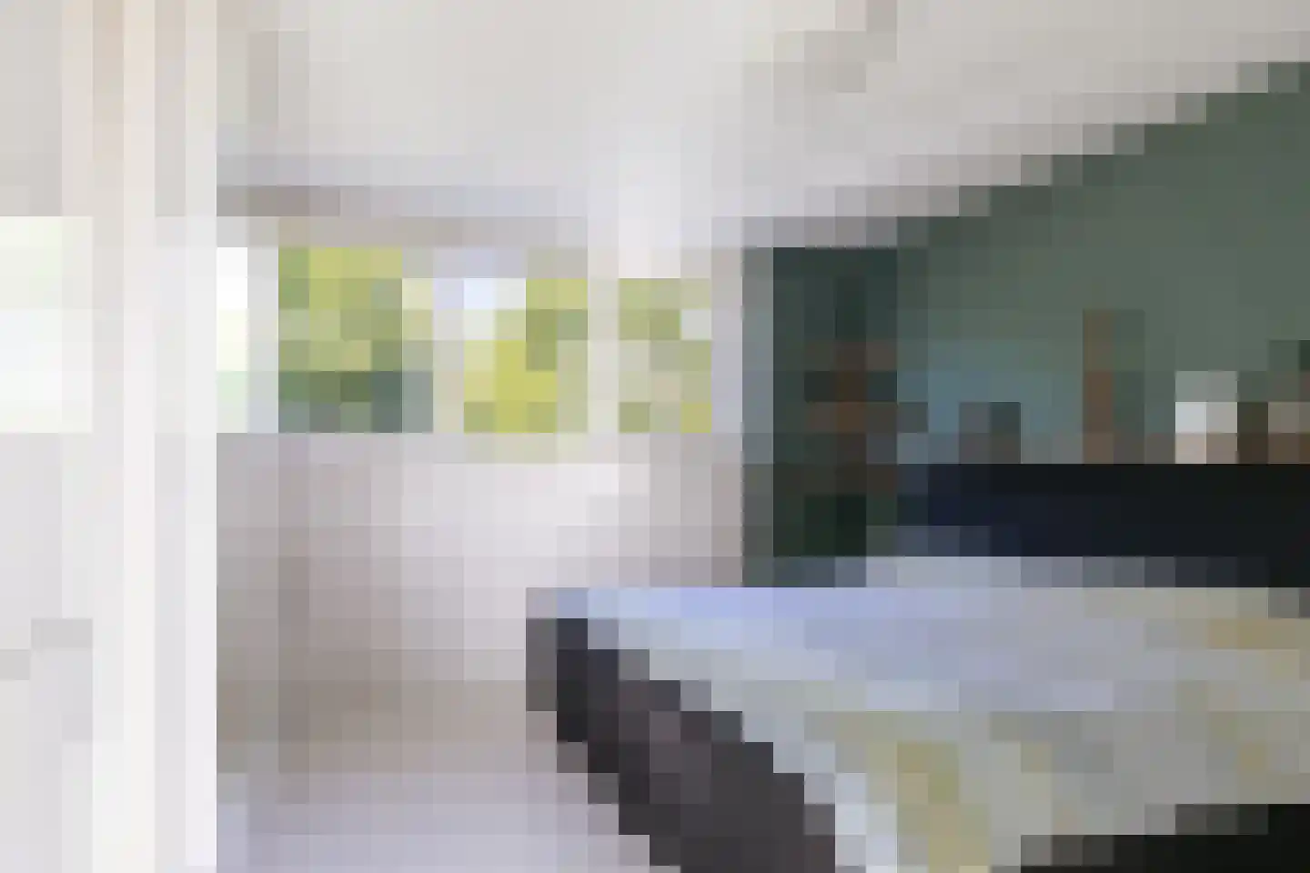 Hillegomlaan 91 Tilburg thumbnail 45
