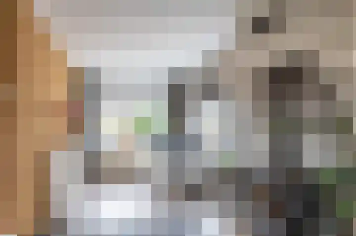 Hillegommerdijk 26 Lisserbroek thumbnail 14