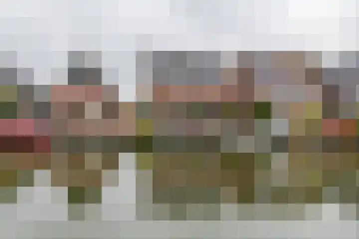 Hillegommerdijk 26 Lisserbroek thumbnail 7
