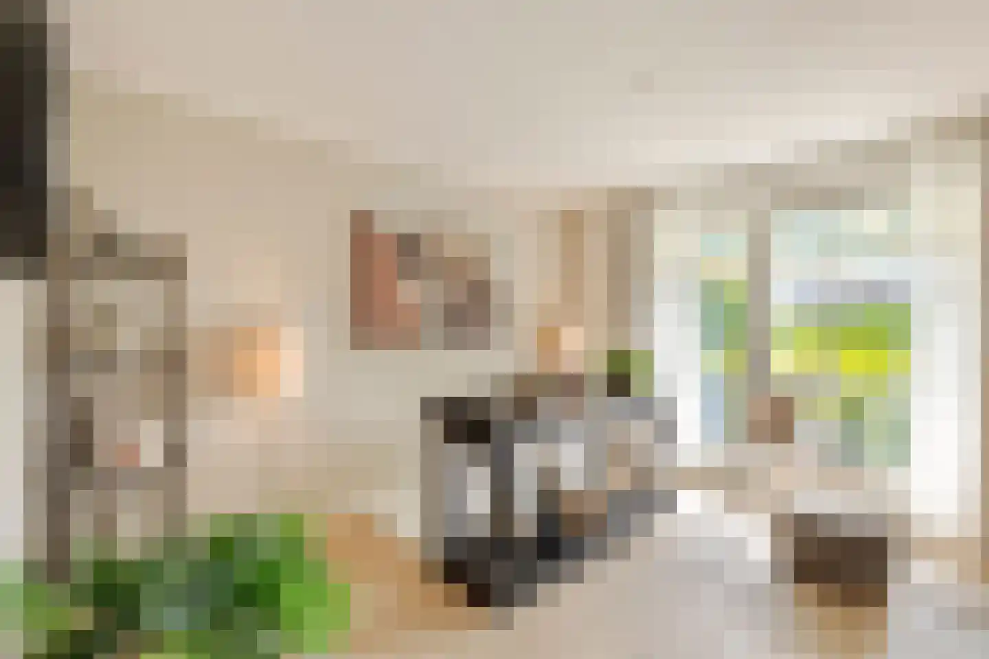 Hillegommerdijk 354 Beinsdorp thumbnail 16
