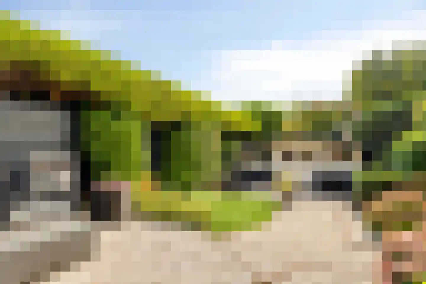 Hillegommerdijk 354 Beinsdorp thumbnail 32