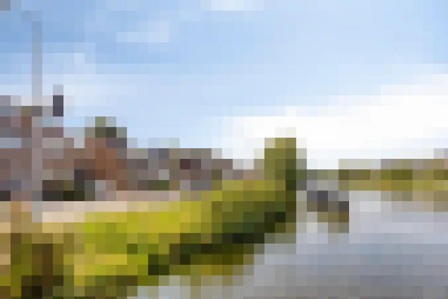 Hillegommerdijk 354 Beinsdorp thumbnail 7