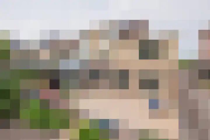 Hillegommerdijk 45 Lisserbroek thumbnail 4