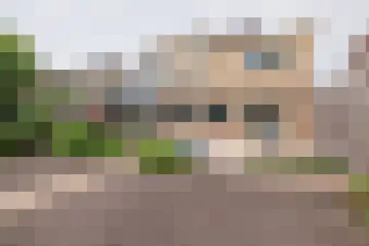 Hillegommerdijk 45 Lisserbroek thumbnail 58