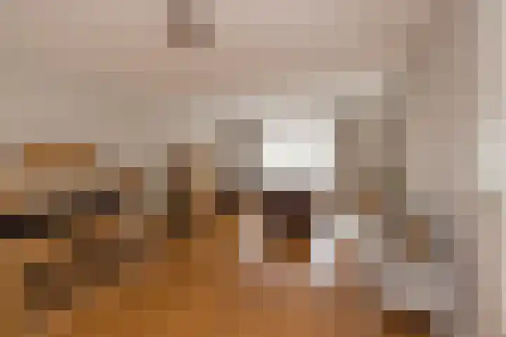 Hillegommerdijk 45 Lisserbroek thumbnail 7