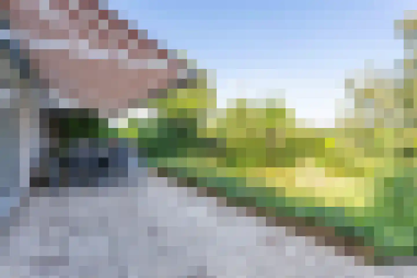 Hillegommerdijk 76 Lisserbroek thumbnail 12