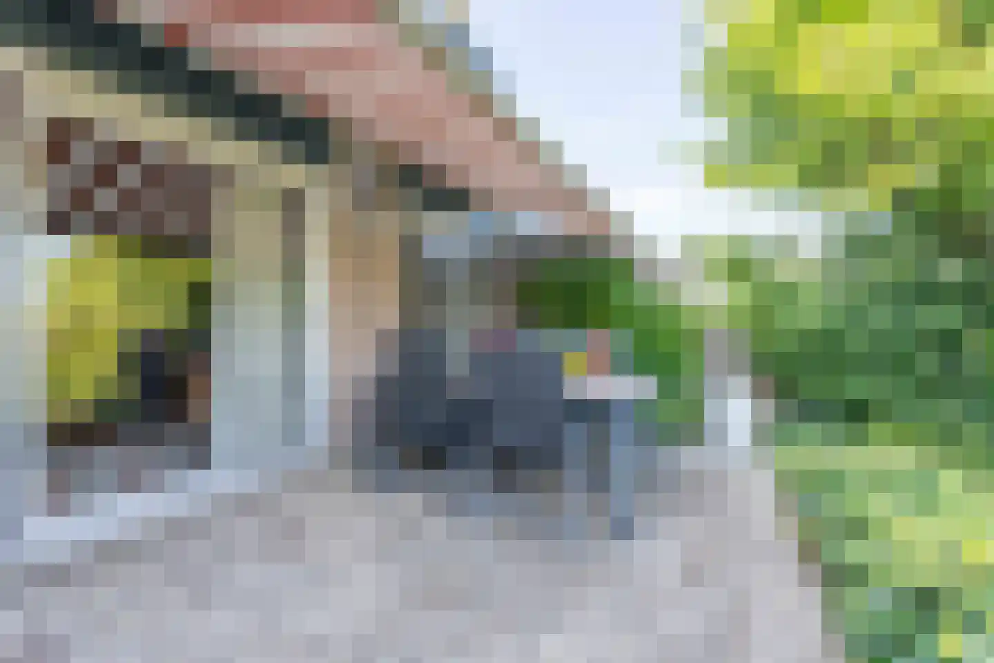 Hillegommerdijk 76 Lisserbroek thumbnail 13
