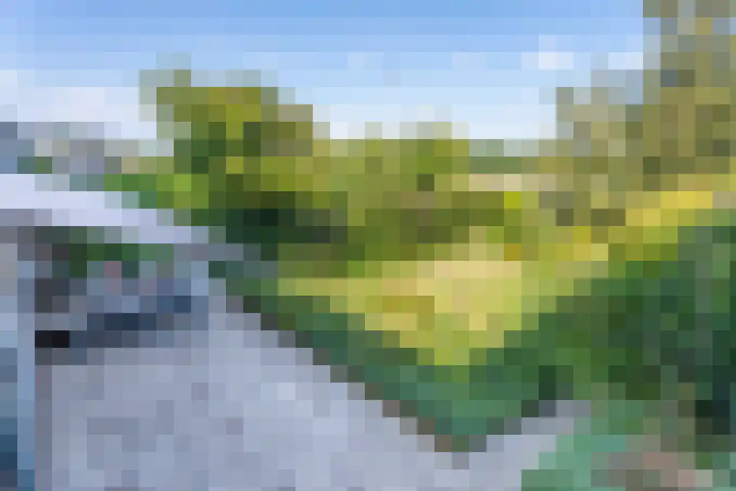 Hillegommerdijk 76 Lisserbroek thumbnail 14