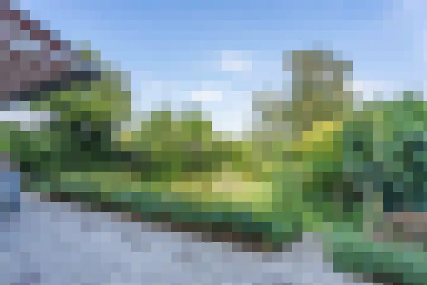 Hillegommerdijk 76 Lisserbroek thumbnail 15