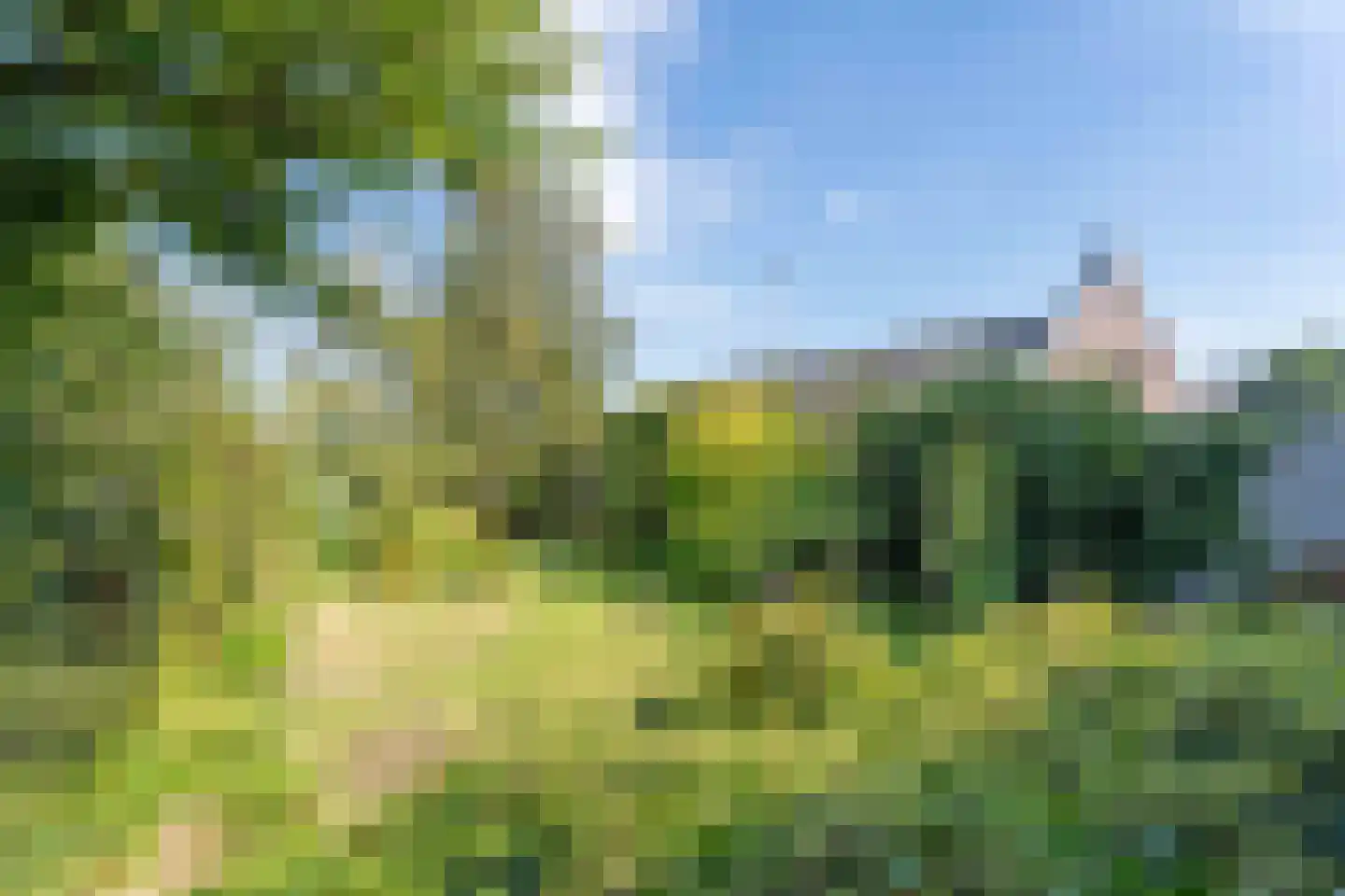 Hillegommerdijk 76 Lisserbroek thumbnail 16