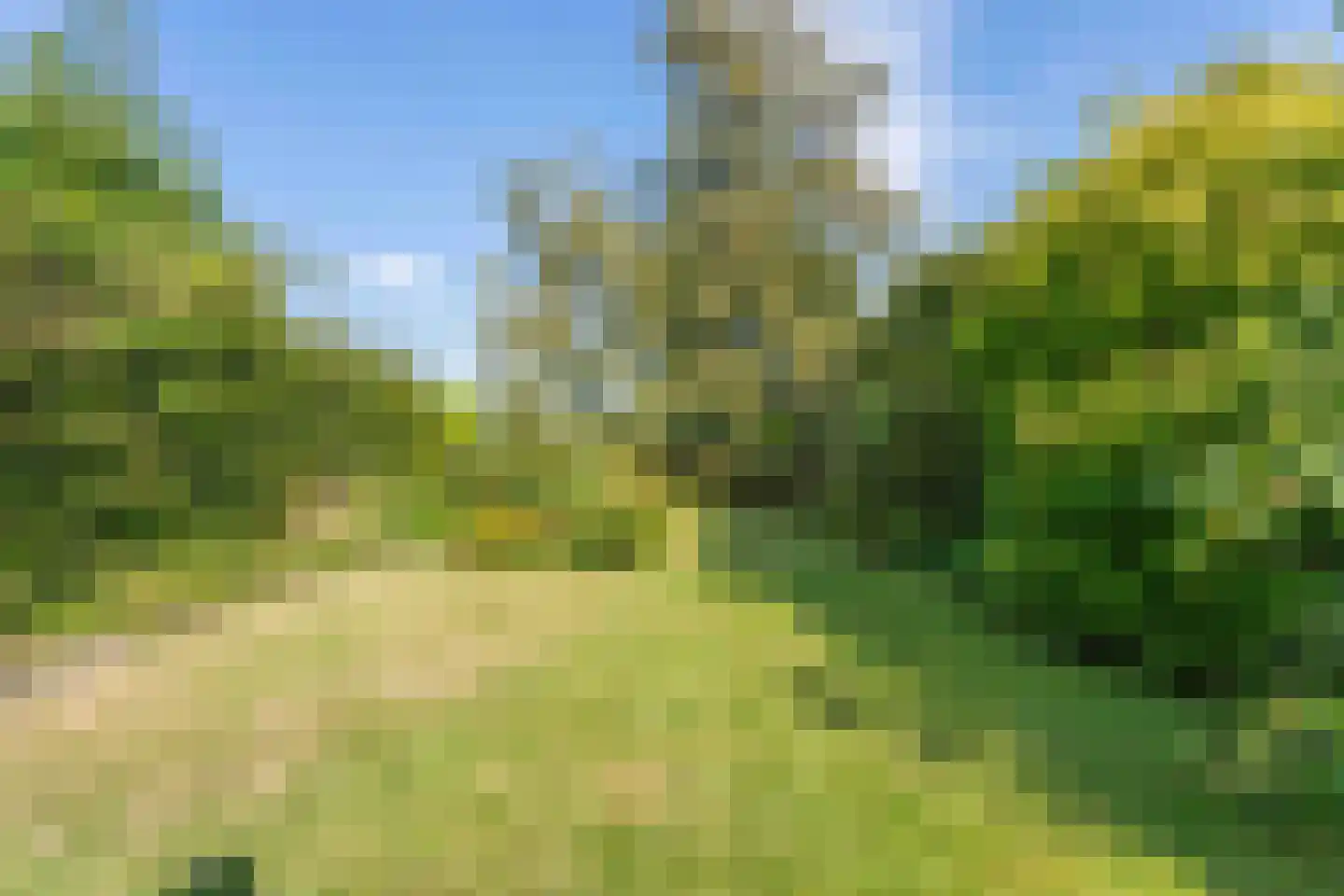 Hillegommerdijk 76 Lisserbroek thumbnail 17