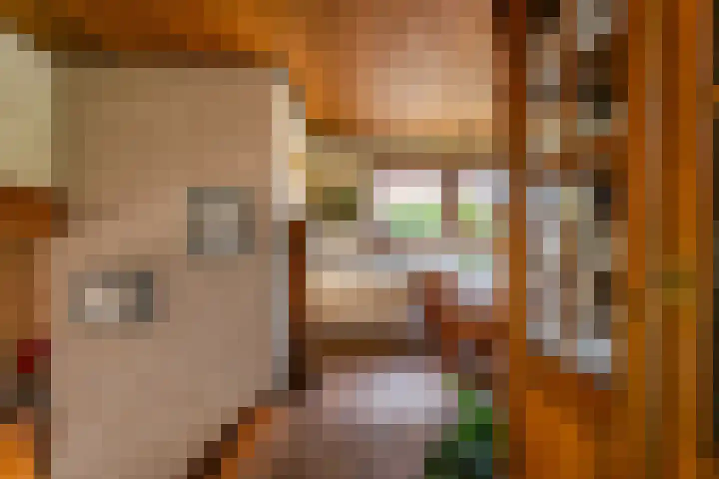 Hillegommerdijk 76 Lisserbroek thumbnail 30